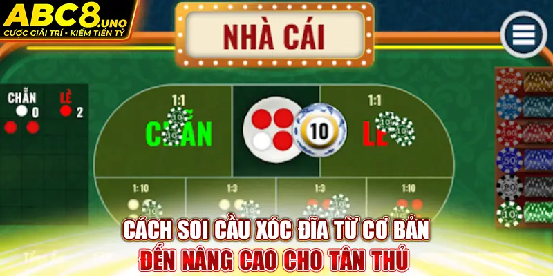 cach-soi-cau-xoc-dia-tu-co-ban-den-nang-cao-cho-tan-thu-